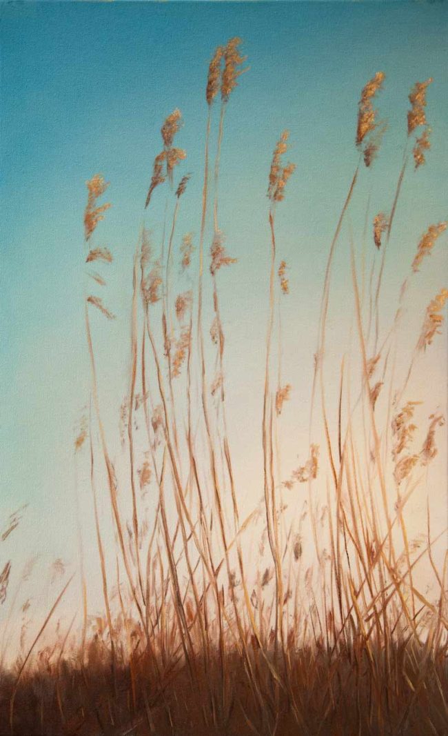 Gary Holding Tall Grasses suns last rays 32x24